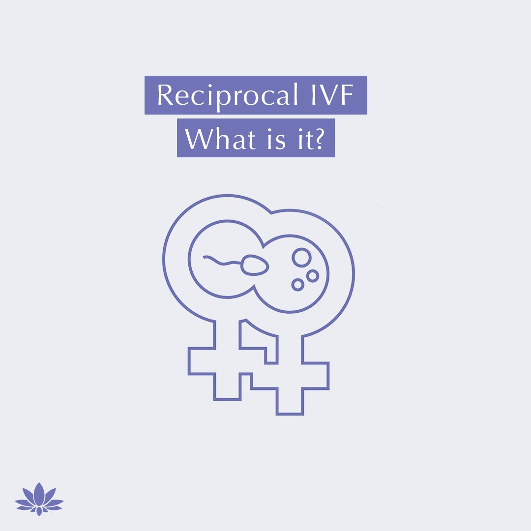 therafertility's tweet photo. Reciprocal IVF is a unique fertility treatment that affords same sex female couples and trans folks the opportunity to share the physical experience of pregnancy. 

Read more at: https://t.co/OmJqXPQzSX 

#reciprocalivf #makingitpossible https://t.co/KeQjTIu2fp