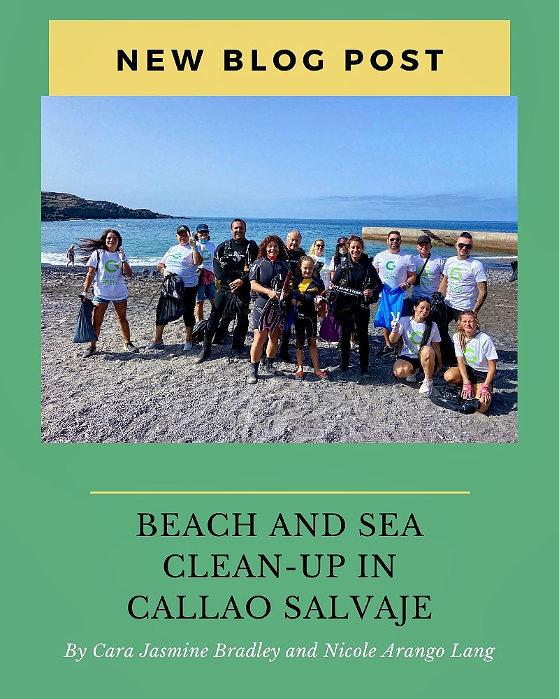 Read new blog post about veeeery succesful #beachcleanup 🏖️ ,with amazing cooperation of <a href="/pearly_grey/">Pearly Grey Tenerife</a> and <a href="/paradisedives/">Paradise Divers</a> that helped us to clean beach in #callaosalvaje 🌴🌊💚
•
•
•
#mycanarygreen #canaryislands #tenerife #teamwork #canarias