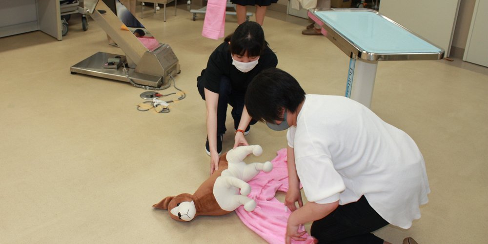 愛玩動物看護師