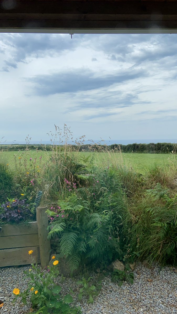 AFM_History's tweet image. What an incredible view for our weekend - Cornwall, you couldn’t be more stunning 😍 #beautifulcornwall