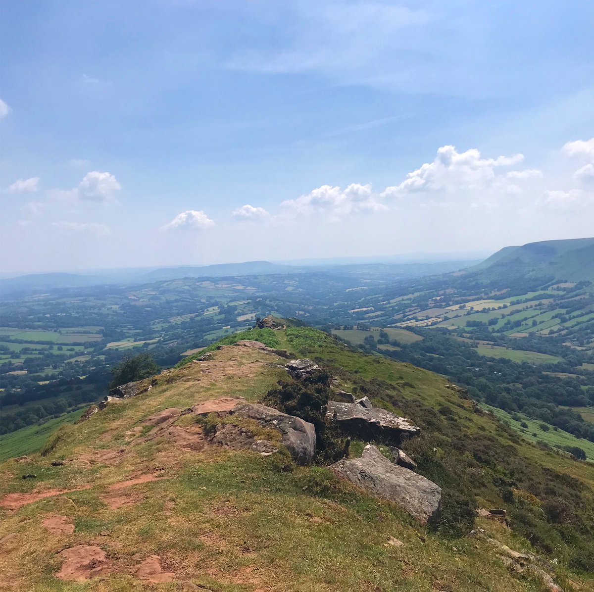 k_runswick_cole's tweet photo. A wonderful week in glorious Hay on Wye #CatsBack https://t.co/dQyNysrC0P
