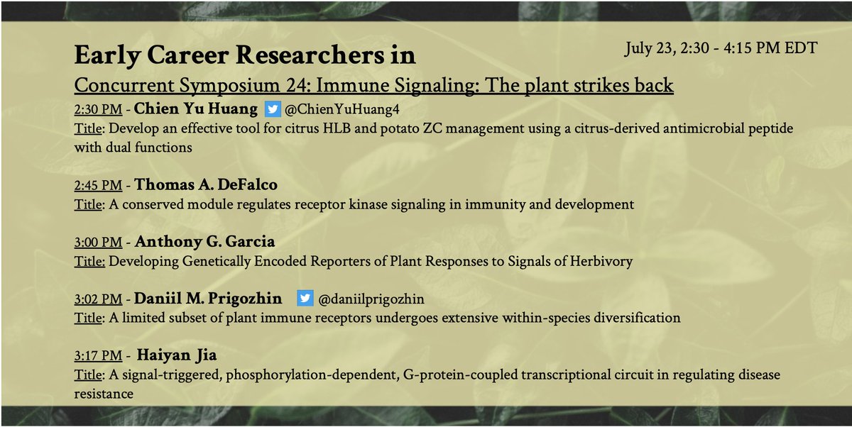 Take a plant self-defense course 🥋from these #ECRs at #PlantBio21 in Concurrent Symposium. 24: Immune Signaling: The plant strikes back! We got some great talks in this session and awesome ECR representation with <a href="/ChienYuHuang4/">Chien Yu Huang</a>, <a href="/daniilprigozhin/">Danya Prigozhin</a>, and many others. #WeAreECPS
