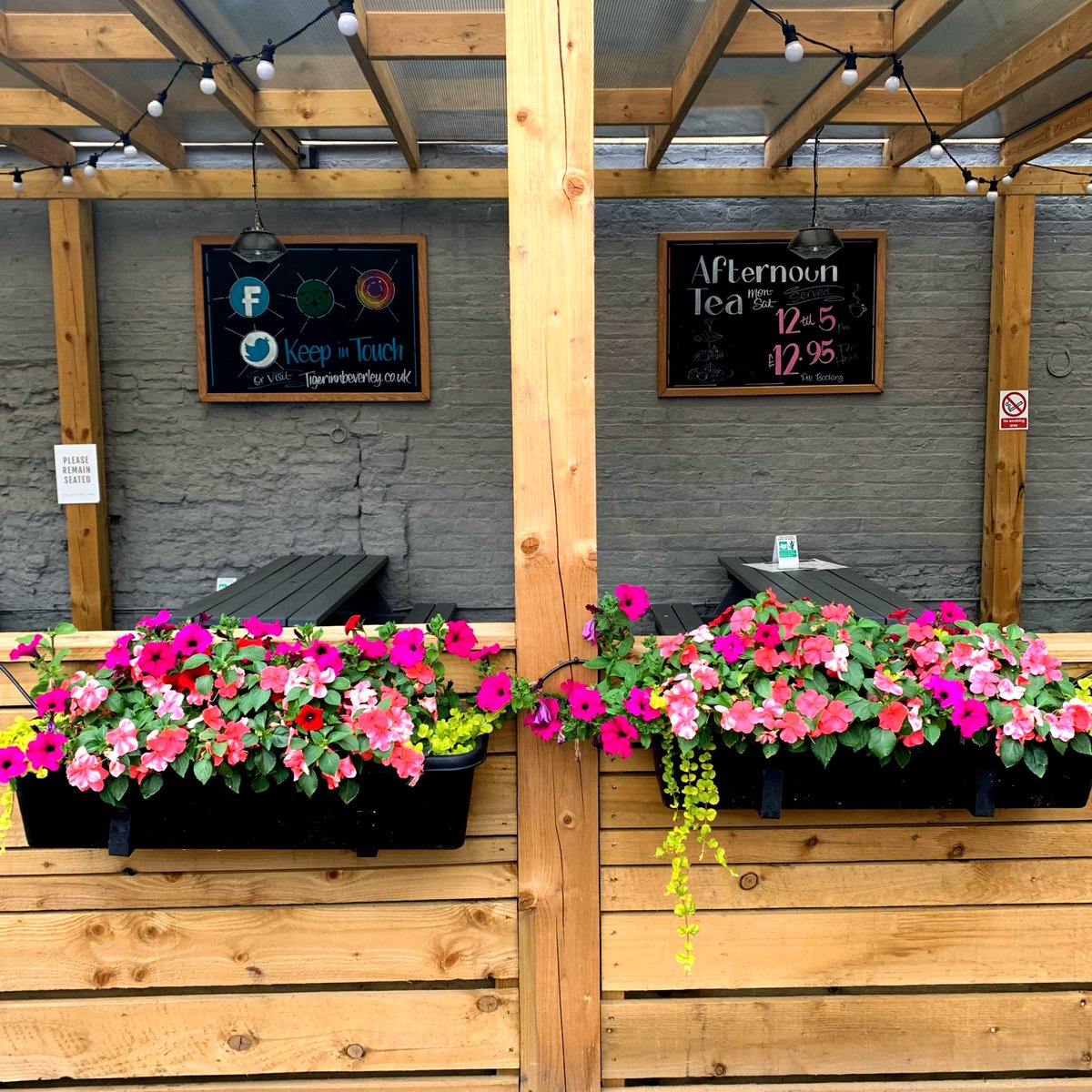TigerInnBev's tweet image. The flowers are now in full bloom! Thankyou so much to Beverley and Bloom they are lovely💐🌹🌺 @beverleyinbloom 

#beverleyandbloom #flowersofinstagram #flowerwall #flowerslovers #flowersmakemehappy #flowerphotography #flowerpower #floweroftheday