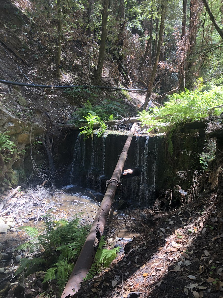 ResourcesLF's tweet photo. Great day touring #SanVicenteRedwoods and #CoastDairies with colleagues from Semper Virens Fund and Amah Mutsun Land Trust as they prepare to remove #MillCreekDam So proud to support their work on this vital coastal landscape! #OpenRiversFund https://t.co/1rc93Y4BCY