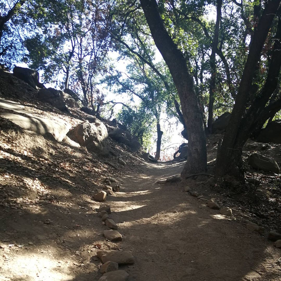 Me gusta estar al lado del camino 🎼