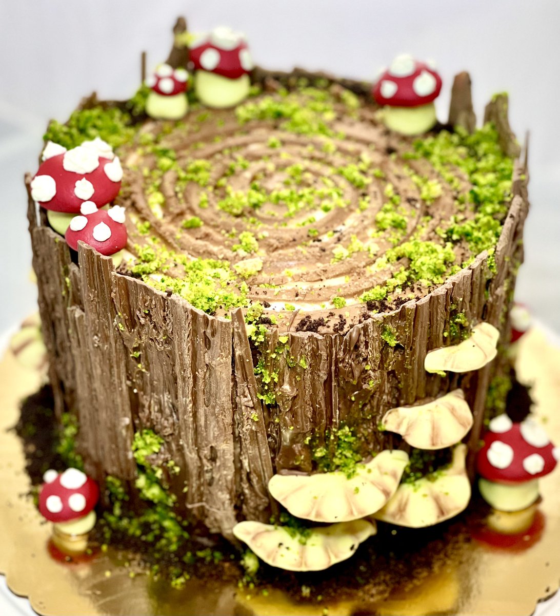 EZcakeart's tweet photo. I don’t know why I didn’t think of using chocolate for tree bark before, it looks so realistic 😍

#cake #homemade #cakes #cakeart #cakeartist #cakesoftwitter #treestumpcake #cakery #bakery #Bakecake #mushrooms #realisticcake #chocolate #woodlandthemed https://t.co/PkdNvyNbTa