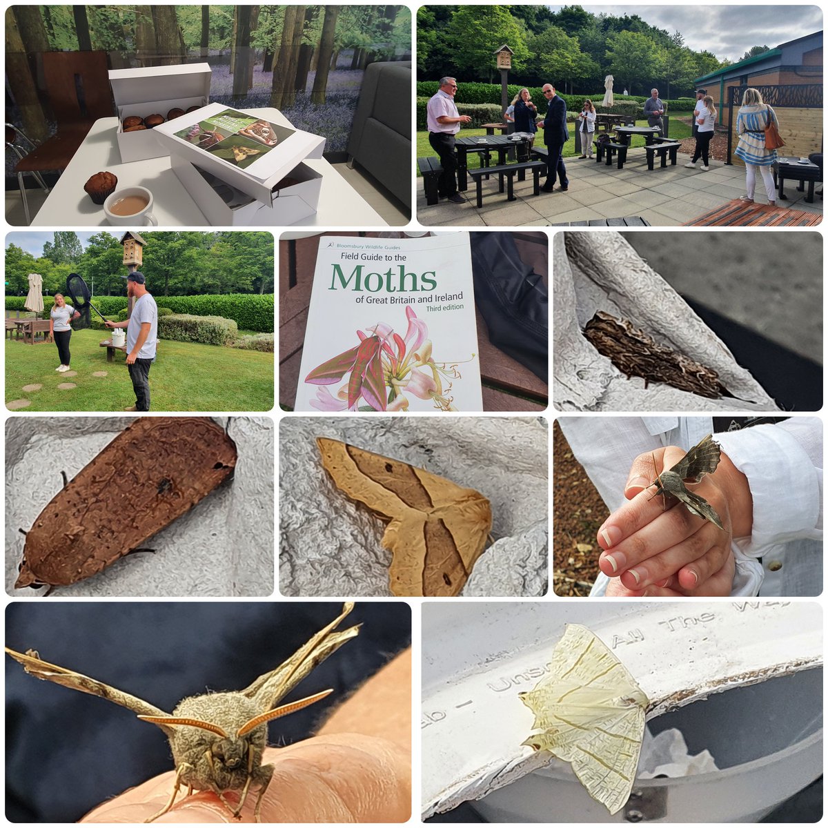 ClimateActionNE's tweet photo. Brilliant morning at our first #MothsAndMuffins #networking event @northeastbic today with the brilliant #moth #northwatch folks at @WildIntrigue. Over 25 species recorded and everyone just loved the moths. β€π¦π #CitizenScience #pollinatorparks #biodiversity #naturetherapy https://t.co/X2MxNFJzj5