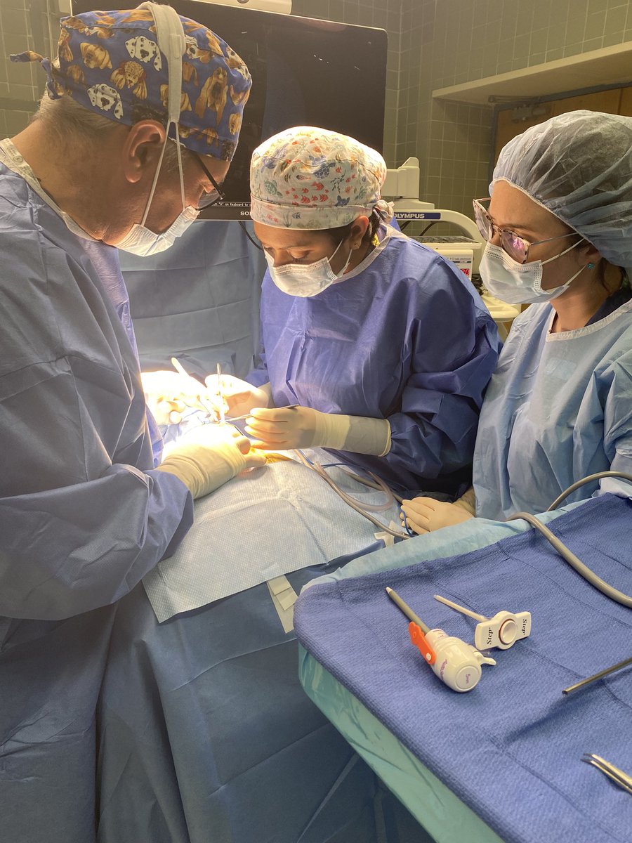 Charlotte Kvasnovsky (@ckvasnovsky) on Twitter photo <a href="/NainaBagrodia/">Naina Bagrodia</a> last case of fellowship with <a href="/pedsurgeon28/">Andrew Hong</a> and <a href="/michelle_kallis/">Michelle Kallis</a>! <a href="/Cohen_Childrens/">Cohen Children's</a> <a href="/APSASurgeons/">APSA Surgeons</a> <a href="/NainaBagrodia/">Naina Bagrodia</a> last case of fellowship with <a href="/pedsurgeon28/">Andrew Hong</a> and <a href="/michelle_kallis/">Michelle Kallis</a>! <a href="/Cohen_Childrens/">Cohen Children's</a> <a href="/APSASurgeons/">APSA Surgeons</a>