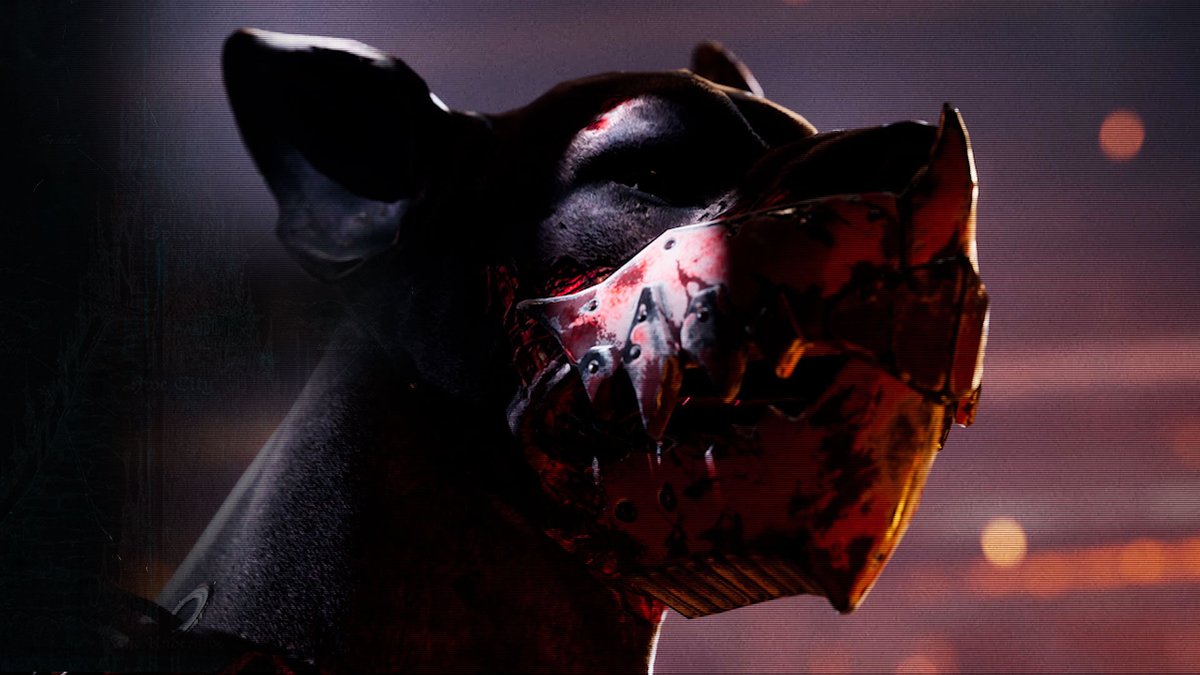 “Don’t worry, the dog doesn’t bite”
The dog: