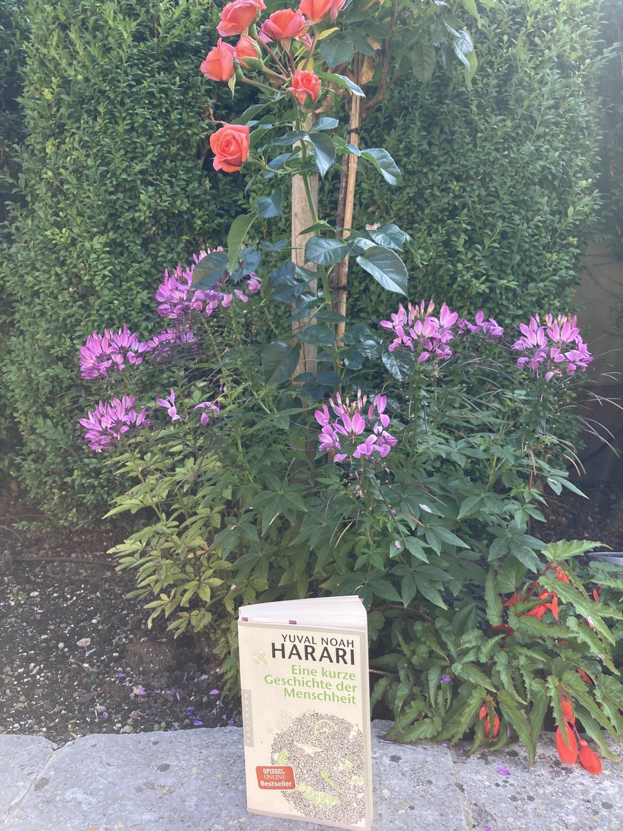 “Eine kurze Geschichte der Menschheit” von ⁦<a href="/harari_yuval/">Yuval Noah Harari</a>⁩ in höchstem Maße lesenswert - must read!