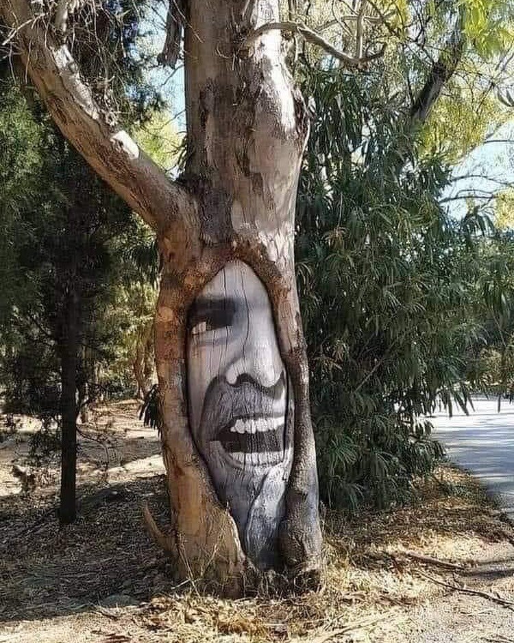 StreetArtUtopia's tweet photo. Caption this! https://t.co/NJQbz9UmBM https://t.co/ShENLdfH1Z