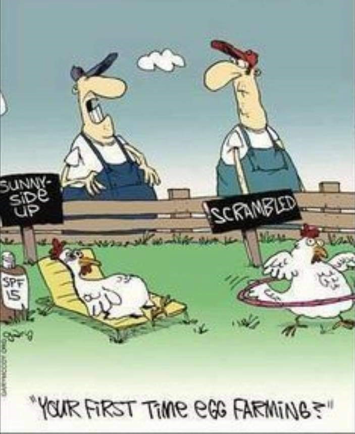 #FridayFunny #Farmfunny #AgSafeBC