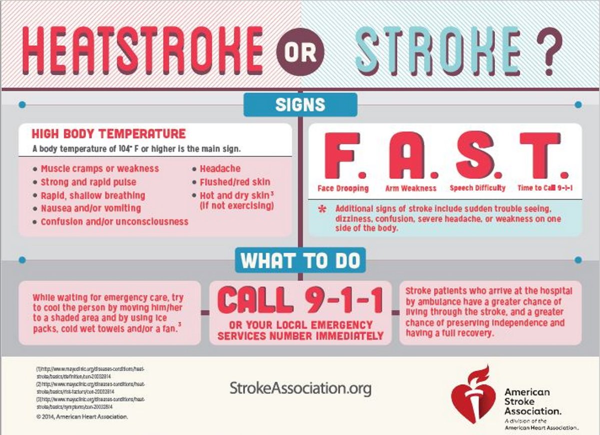 HeartPlace tweet media