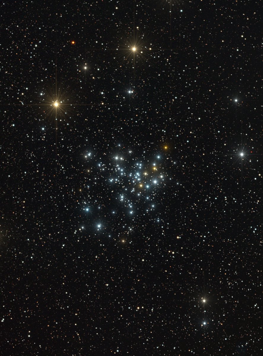 xipteras's tweet photo. Star clusters ✨ in Perseus (Superluminal Edition). #NGC1528 #stars #astrophotograhy #astrophoto by @xipteras https://t.co/HegUo18iru
