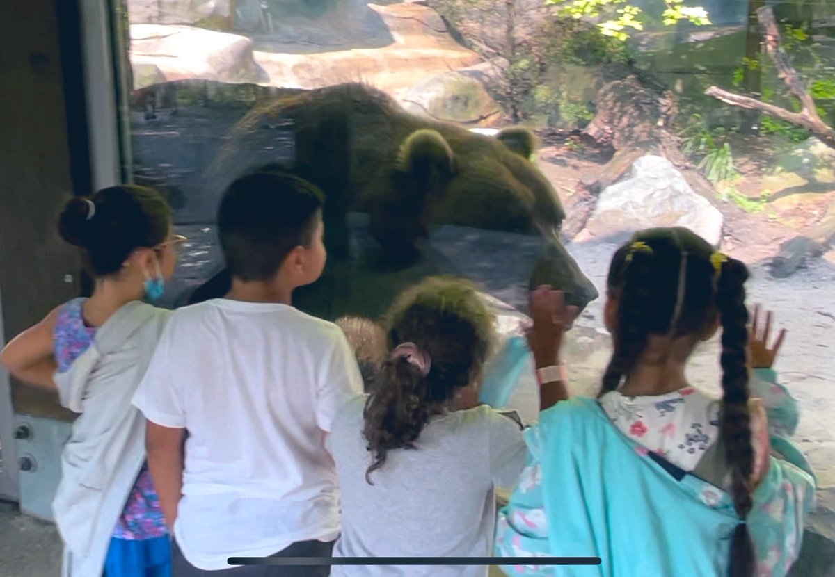 Loved the time at the zoo with my amazing summer school class! They are pretty special and were so eager to see the animals and learn about them! Their excitement and enthusiasm is so contagious! ❤️ #GoWO #westottawasummerschool #johnballparkzoo