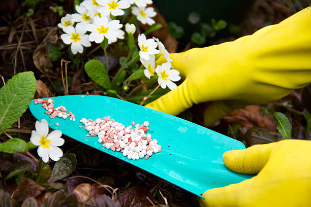 YoungsMarket's tweet photo. We have everything for healthy, flourishing landscapes, including nutrient-rich composts, soils, and fertilizers. Give us a call at 303-422-8408 or check out our website to learn more about what we carry. https://t.co/K3Sx46IGRD https://t.co/QTnW3lo2k5