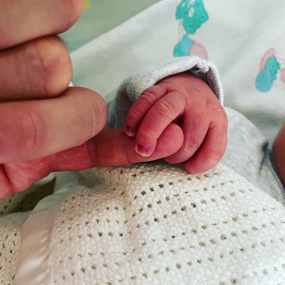 Horsforth Brewery tweet media