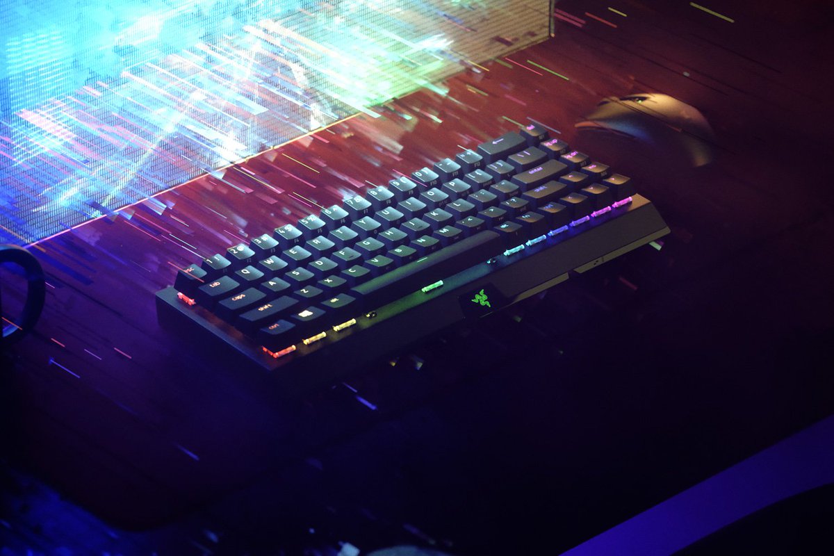 Als DANKE für diese tolle Community verlosen wir eine Razer Blackwidow V3 Mini HyperSpeed &amp; Razer Viper Ultimate💚

So machst du mit:

1. <a href="/RazerGermany/">R Λ Z Ξ R 🇩🇪</a> folgen🐍
2. Retweeten🔁
3. Einen Freund markieren🤝

Das #Gewinnspiel endet am 28.07.2021.
#Razer
TNB: rzr.to/rzrtnb