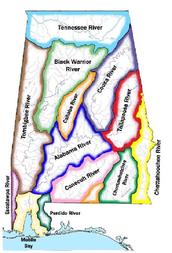 Want to know some fascinating facts about the vital yet vulnerable Black Warrior River watershed? Head to blackwarriorriver.org/river-facts/!
