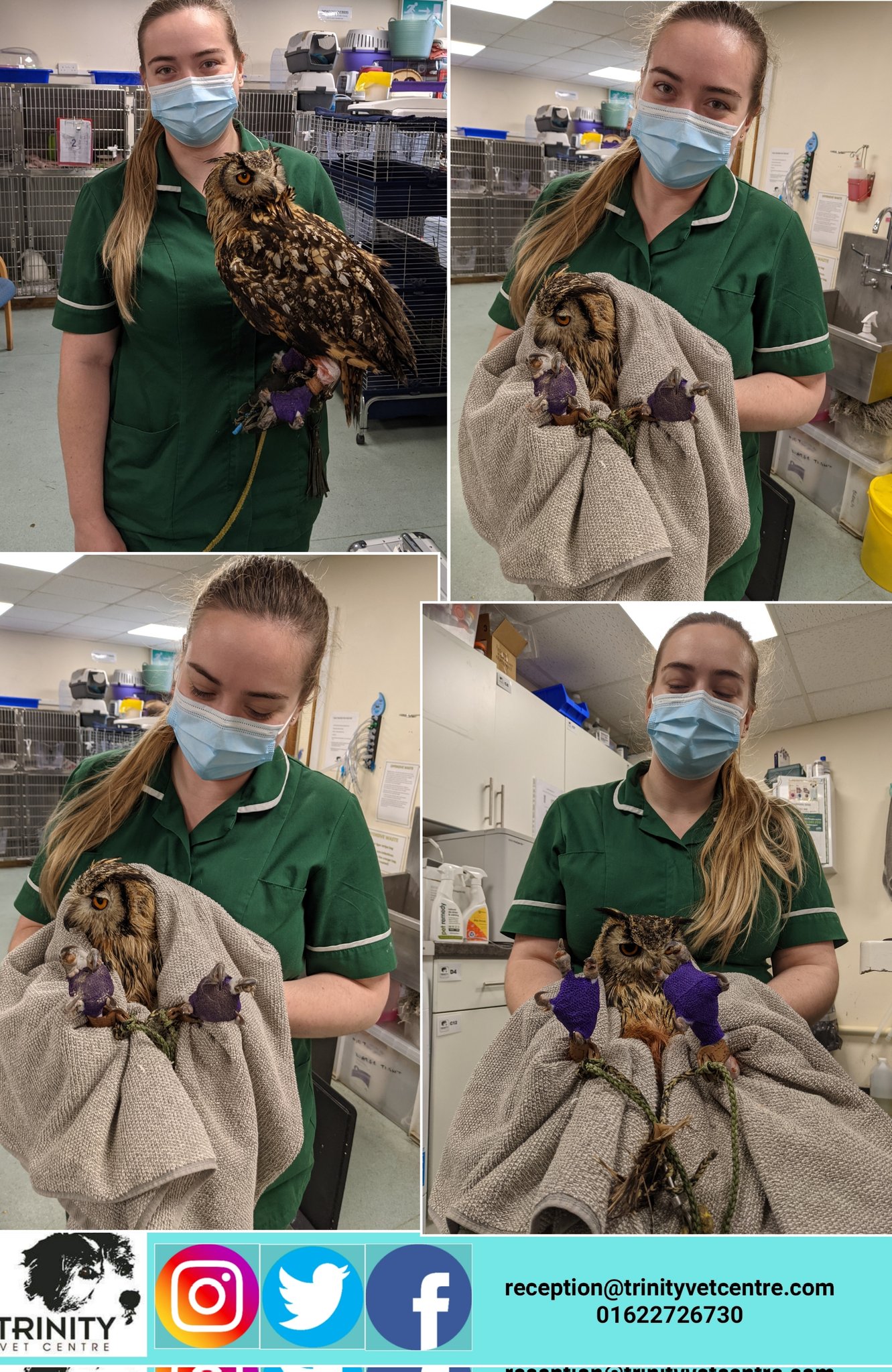 Trinity Veterinary Centre centre trinity X