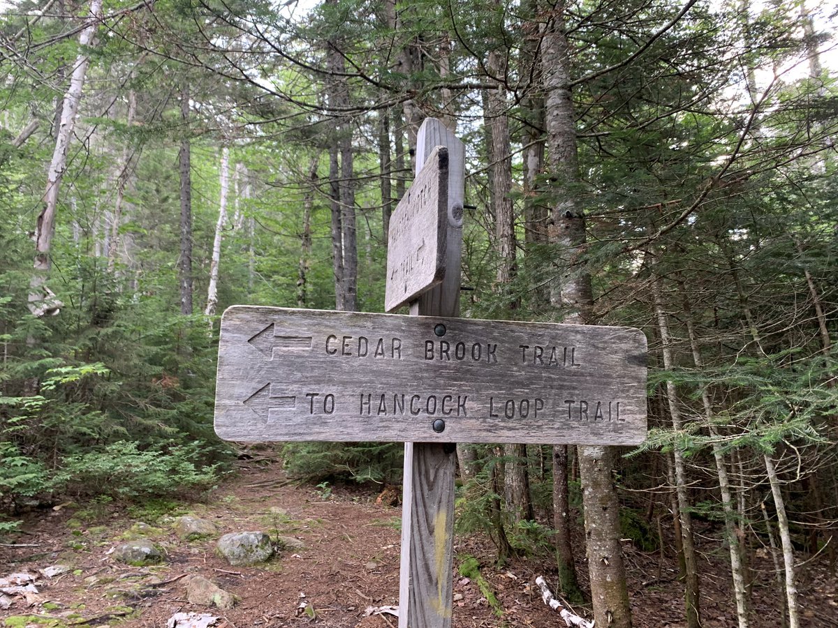 chrislb104's tweet photo. Summited North and South Hancock. Amazing trails, views, water crossings. Thank you @nhdfl ; perfect weather today too. @whitemts #mounthancock #solosummit https://t.co/5Uaaa4rtB9