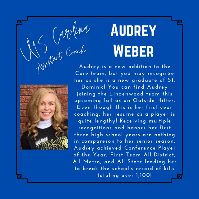 Core STL tweet media