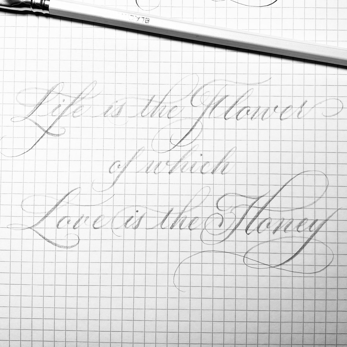 AMacbain1's tweet photo. #victorhugoquote Life is the flower of which love is the honey #pencilcalligraphy #dailypractice #calligraphy #blackwingpearl #literaryquotes #calligraphypractice #calligraphytools https://t.co/AuE6zaMA5S