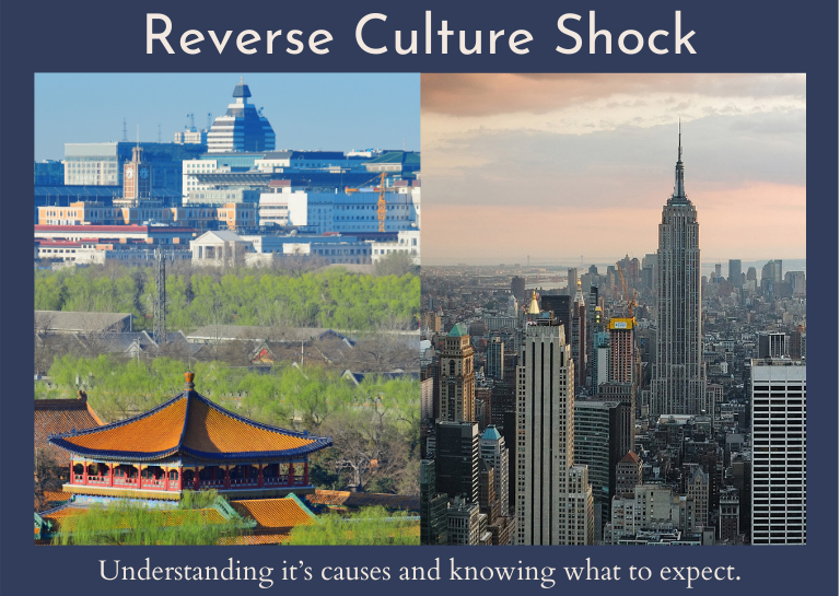 TheGoToSite's tweet photo. Understanding Reverse Culture Shock - Military Connection https://t.co/AYBNS7L5xY
#Veterans #TheGoToSite #military #army #navy #marines #airforce #usa #usmc #usarmy #veteranowned #usnavy #coastguard #veteransupport #veteranshelpingveterans #veteranownedbusiness #usairforce #ptsd https://t.co/bn78e2R6F3