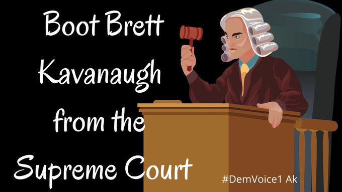 RogueCitizenOne's tweet image. #RemoveKavanaugh