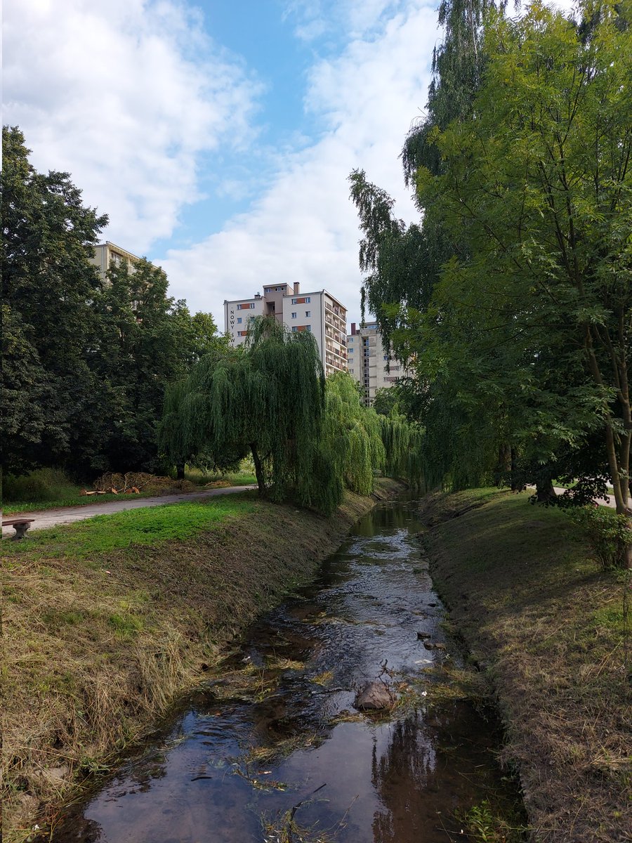 WarszawskiBlog's tweet photo. Nad rzeką😎 By the river😎 #rzeka #spacer #lato #Doliny #Silnica #Kielce #river #walk #summer #hometown https://t.co/jWMEiFJUb0