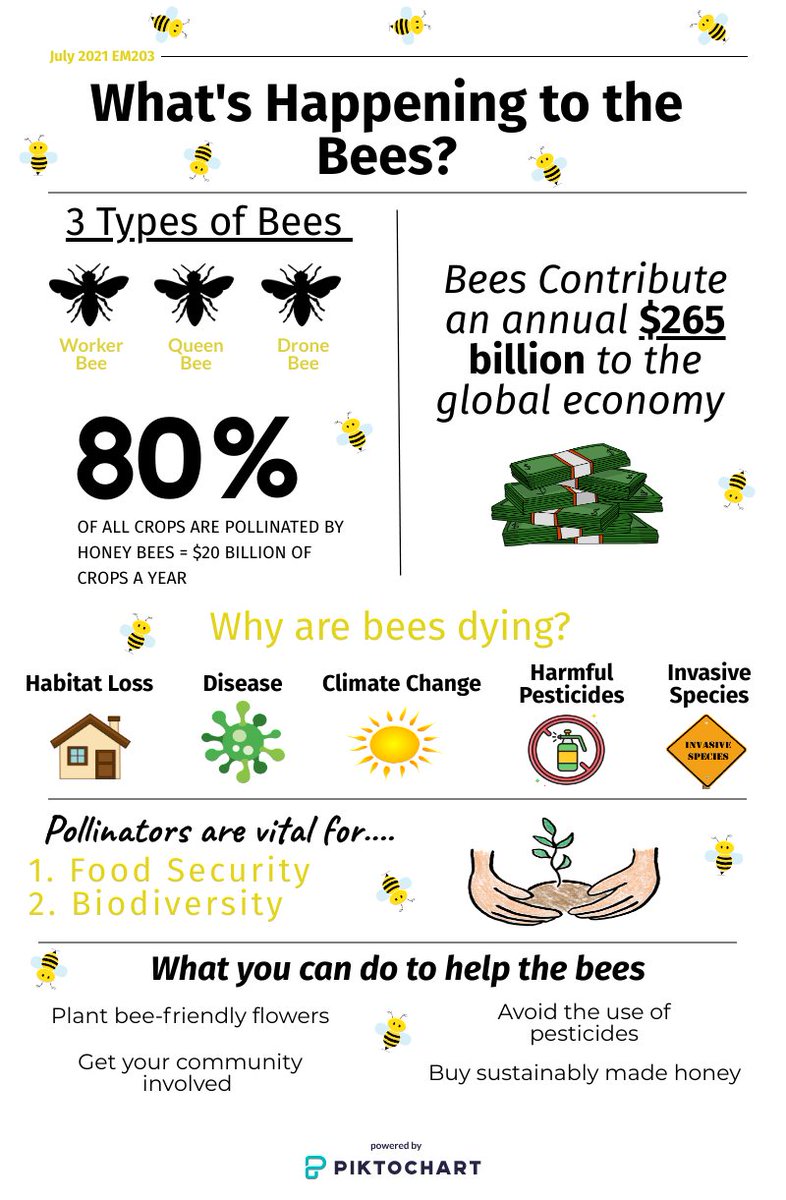 Morgan Scott tweet media