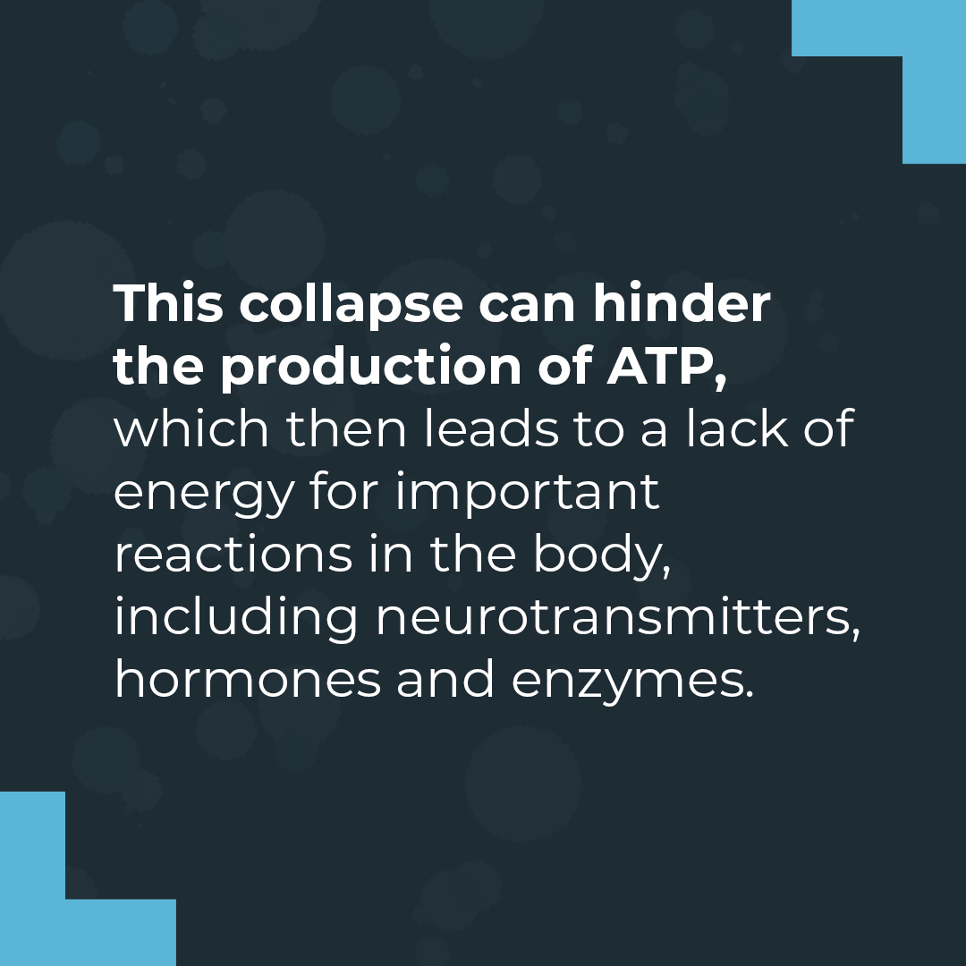 Lab research suggest glyphosate may trigger the collapse of mitochondrial membranes at relatively low levels of exposure. If the mitochondria are not working properly, the expression of genes, proper detoxification, brain and immune function can all be impacted.