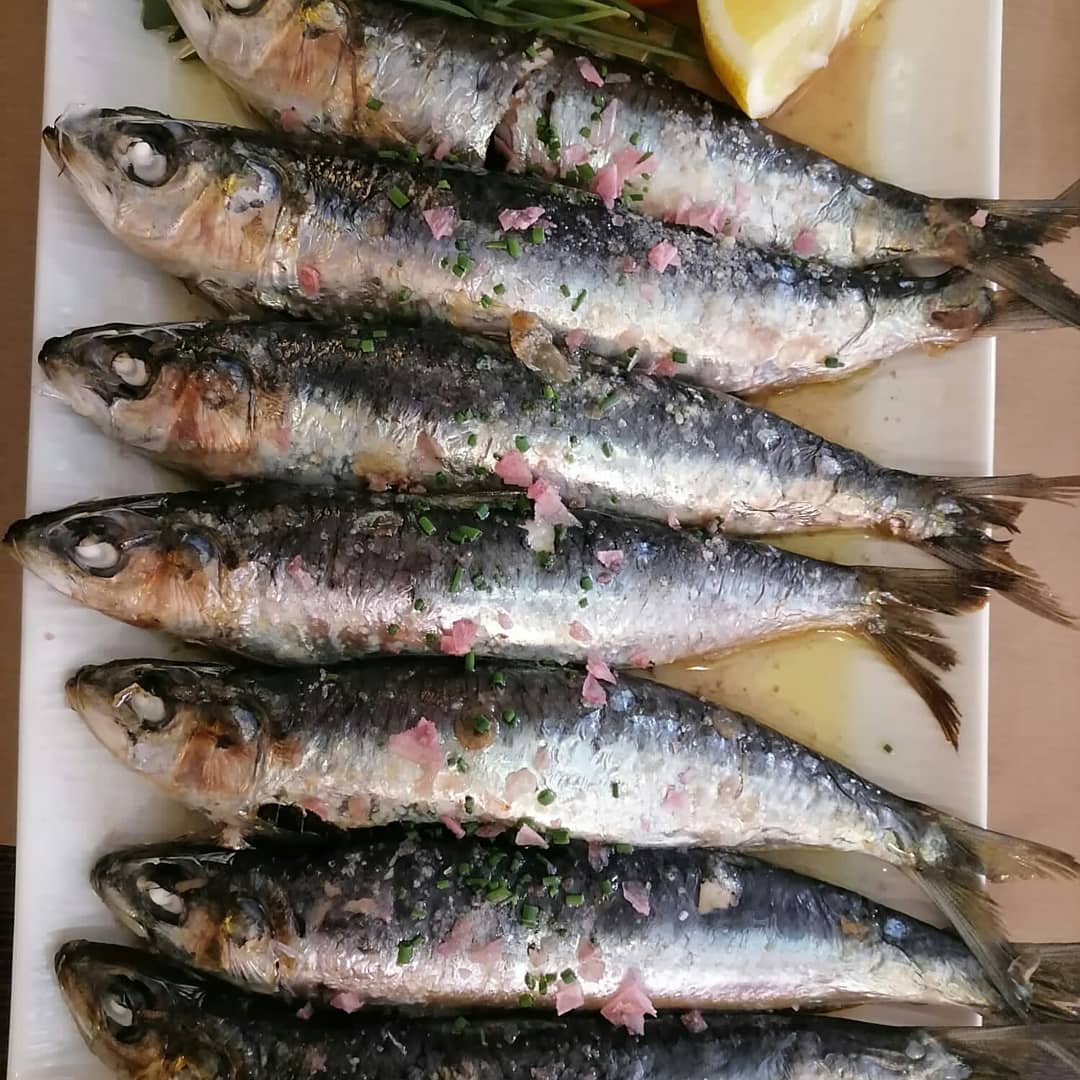 EntreChigres's tweet photo. Sardinas asadas con plato aliñado de tomates de somió, Rollo de bonito y Canelones de bonito encebollado con varé  #Gastronomía #Asturias #Gijón #LaGalana #Sardinas #Bonito https://t.co/zlkRXPqEsN