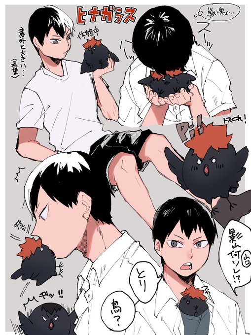 ひなガラスとtobio～ 