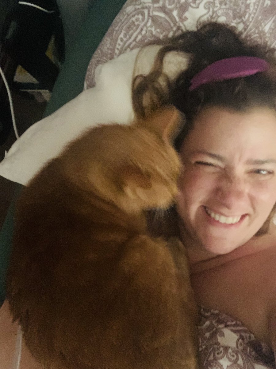 saragoldrickrab's tweet photo. #PellCat came to wake me up and announce its #FriYay!!! https://t.co/PVJPdR6tIb