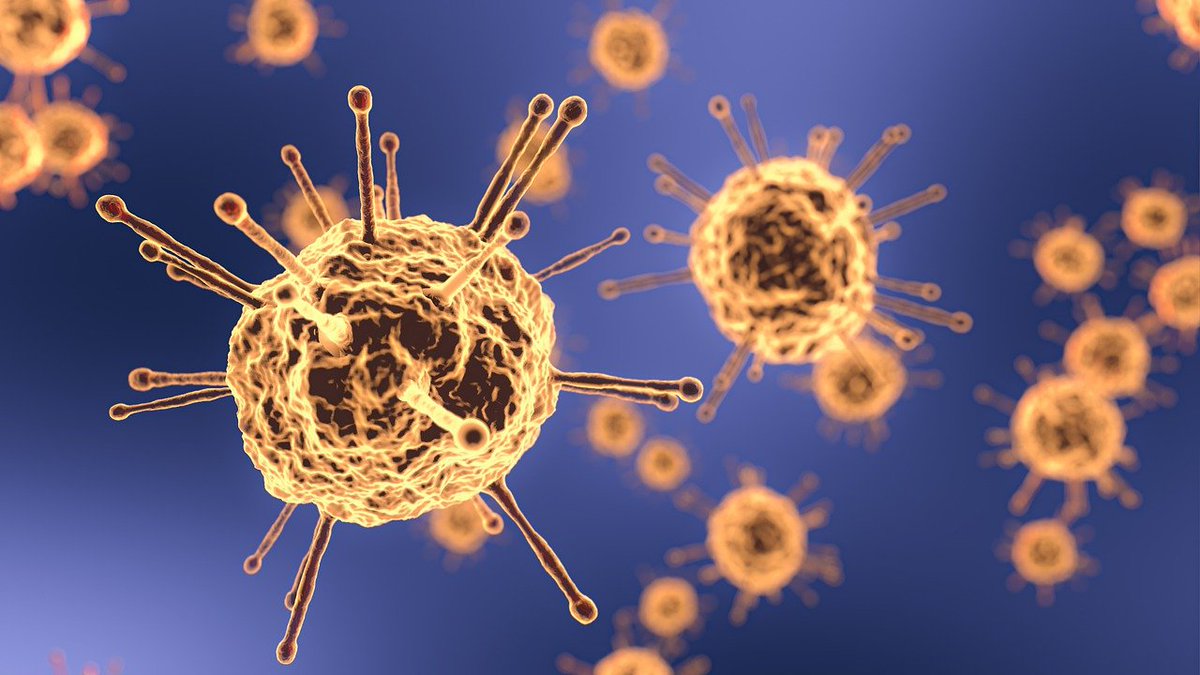 Descobert un superanticòs eficaç contra variants del SARS-CoV-2 i altres coronavirus
bit.ly/3et5L6i