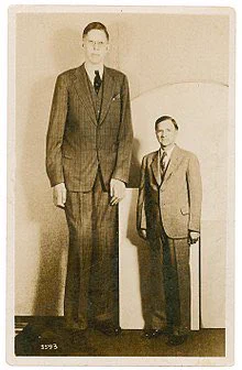 何が八尺様だ
ギネスブックに載ってる最も背の高い人は272cmで九尺様だぞ 