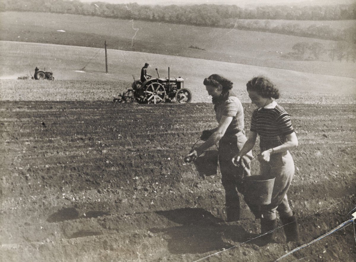 Take a look at the <a href="/BrightonMuseums/">Brighton Museums</a> blog where you can read my piece on the work of the Women’s Land Army, the ‘Cinderella Service’, during World War Two. 

There are lots of links to the #Brighton and #Sussex area! Read it here: bit.ly/3B9XKwN 

#WW2 #history #archives