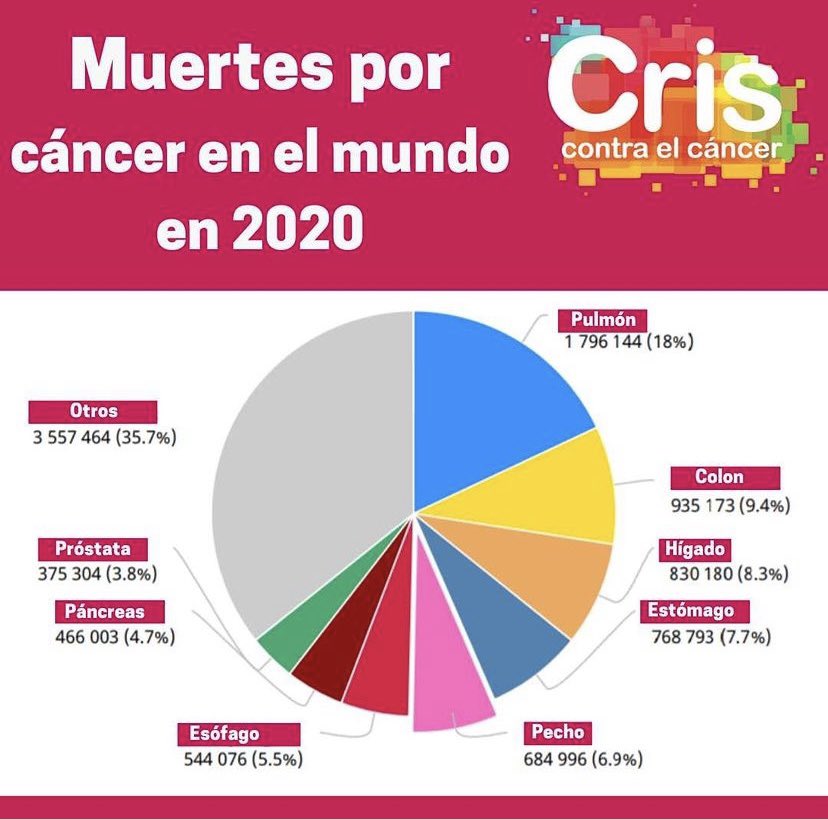 Natalia Cano tweet media