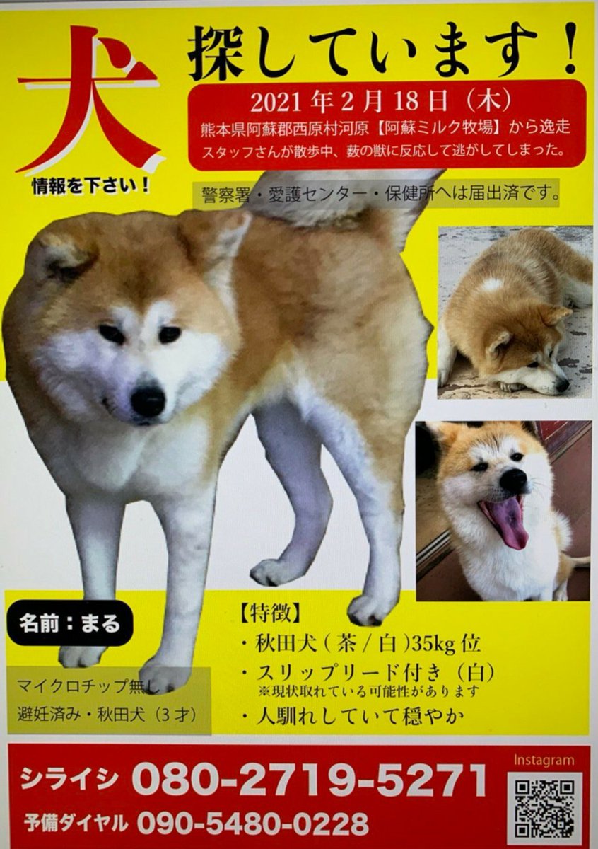タグ 南小国 の注目ツイート メガとんトラック