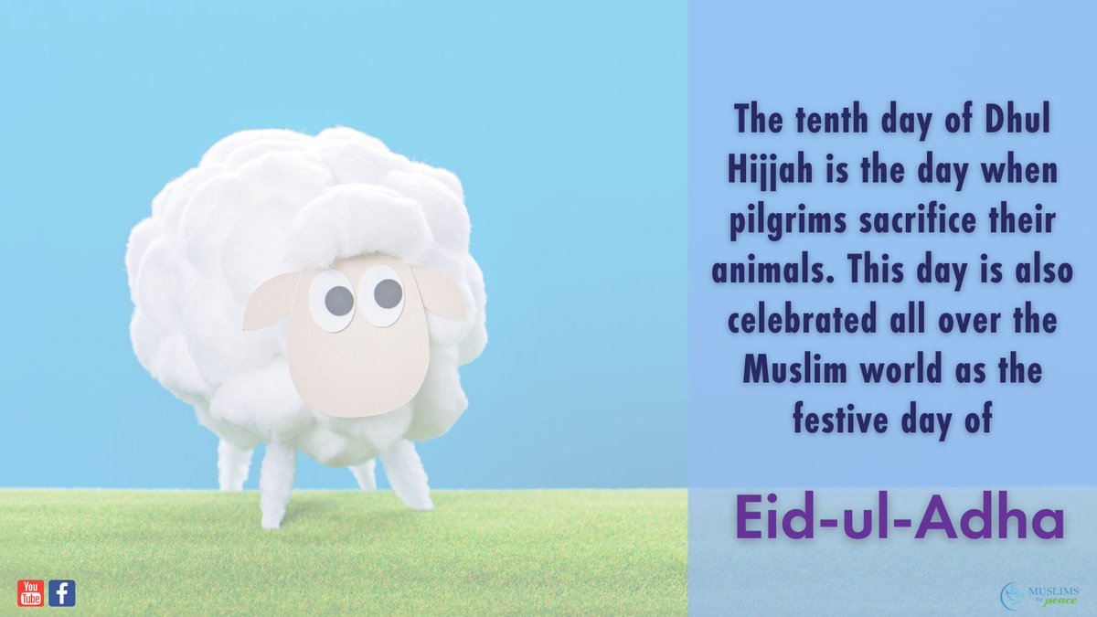 muslimsforpeace's tweet photo. The tenth day of Dhul Hijjah is the day when pilgrims sacrifice their animals. This day is also celebrated all over the Muslim world as the festive day of #EidalAdha https://t.co/q70Old0kso