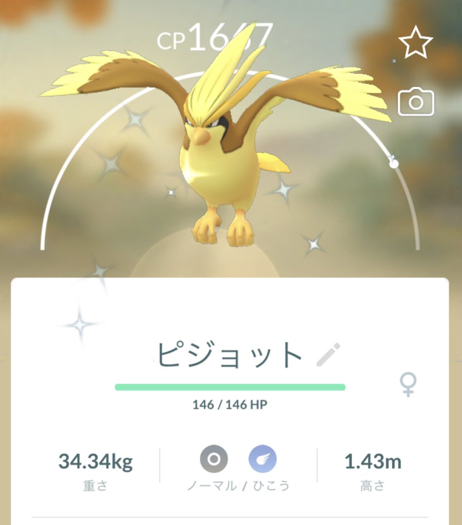 ポケモンgo ピジョットの色違い 入手方法と実装状況 攻略大百科 ポケモンgo ピジョットの色違い 入手方法と実装状況 攻略大百科