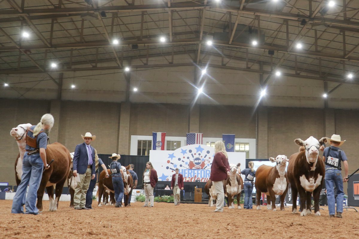 Lay_Farms_Inc's tweet photo. Congratulations to the Porter Family on making it to the final drive in Division VII at Hereford Jr. Nationals 2021
Congrats Collins on being selected 6th overall PeeWee Showman, what a great accomplishment!!
Lot 8 on our 2020 Sale https://t.co/tbrwrqRh9N