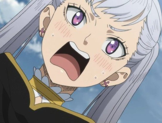 cloversect tweet picture