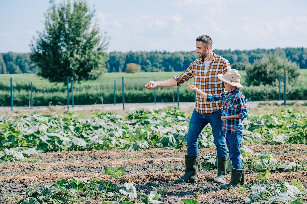 ReformFCS's tweet photo. The money that lines the pockets of the #FCS's protected special interest could be used to help the young, beginning and small farmers that desperately need support to survive. Why isn't the FCS helping more? https://t.co/JVZtyGgmjl https://t.co/kWNWkjpOXz
