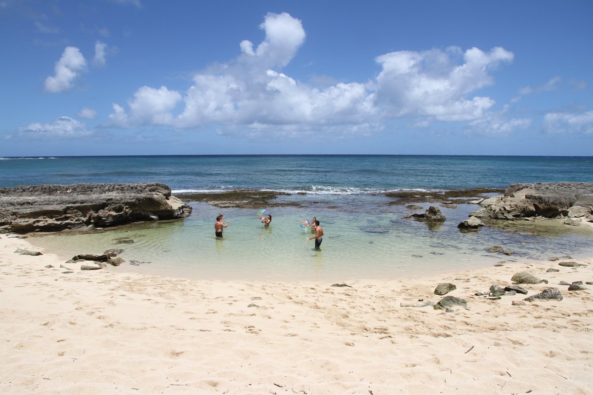 Pause vacance chez Omnikin! 
Veuillez noter, les envois reprendront la semaine du 3 août. D’ici là, amusez-vous bien!
Holiday break at Omnikin!
Shipments will resume the week of August 3. Until then have fun!