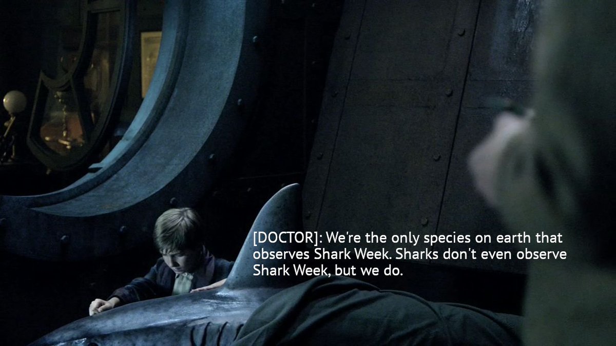 dwbutcommunity's tweet photo. happy shark week https://t.co/TDODRT7Tii