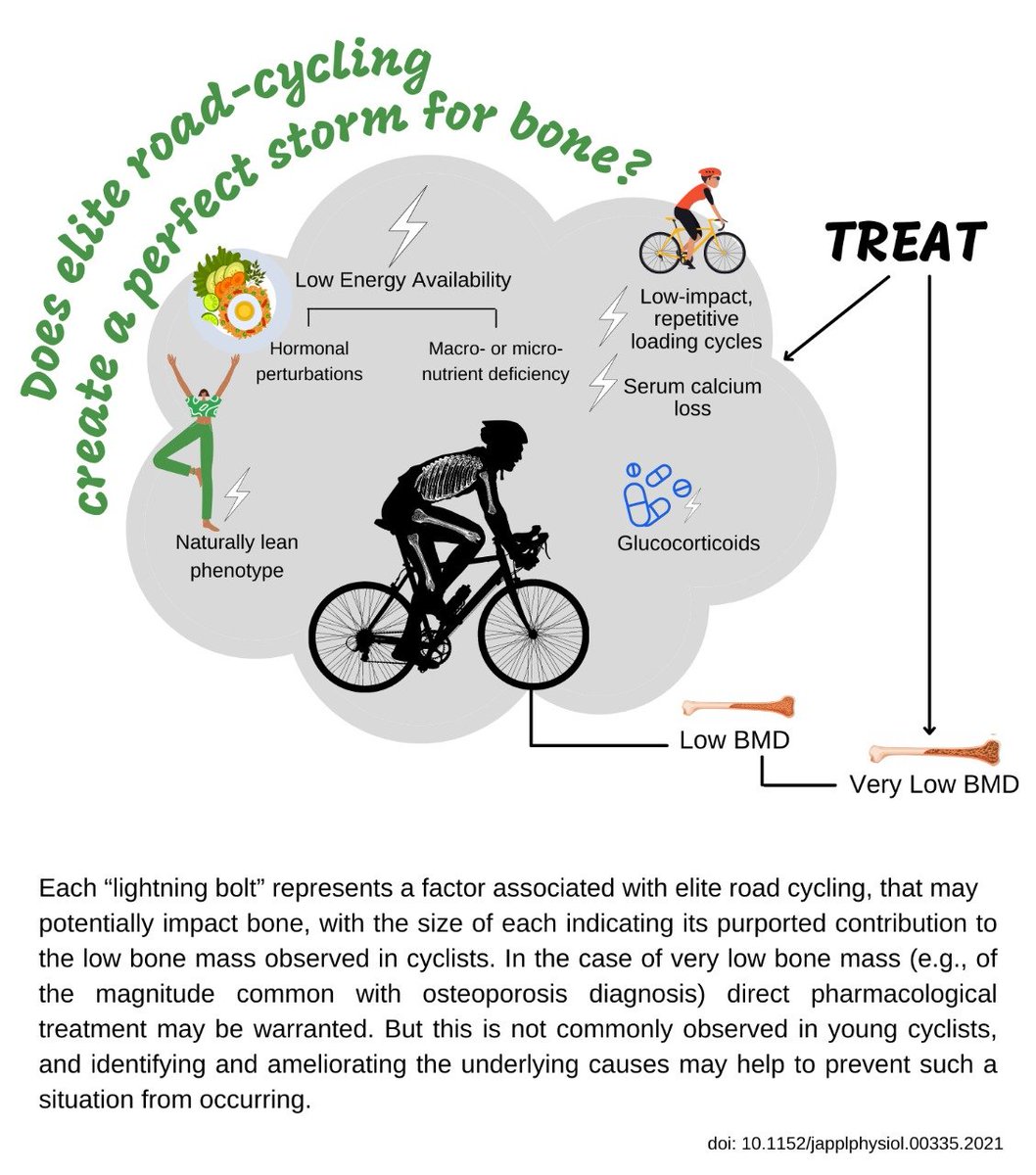 Bryan Saunders (@bicycle_bryan) on Twitter photo Our contribution to the "Commentaries on Viewpoint: Fragile bones of elite cyclists: to treat or not to
treat?" in <a href="/japplphysiol/">Journal of Applied Physiology</a> led by <a href="/eimeardol/">Eimear Dolan</a> 💪🦴
Excellent figure by <a href="/rafaelasilveri/">Rafa Silvério</a>
<a href="/luanaindaia/">Luana Oliveira</a> <a href="/Sale_ExNut/">Craig Sale</a> @Appl_Phys_Nutr
All commentaries here: doi.org/10.1152/japplp… Our contribution to the "Commentaries on Viewpoint: Fragile bones of elite cyclists: to treat or not to
treat?" in <a href="/japplphysiol/">Journal of Applied Physiology</a> led by <a href="/eimeardol/">Eimear Dolan</a> 💪🦴
Excellent figure by <a href="/rafaelasilveri/">Rafa Silvério</a>
<a href="/luanaindaia/">Luana Oliveira</a> <a href="/Sale_ExNut/">Craig Sale</a> @Appl_Phys_Nutr
All commentaries here: doi.org/10.1152/japplp…