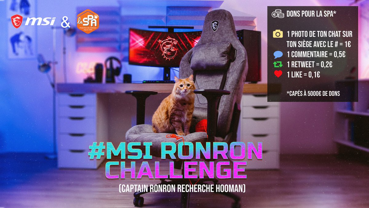 🐱🐶Depuis mai, 8900 animaux ont été recueillis par la <a href="/SPA_Officiel/">La SPA France</a>. Grâce au #MSIRonronChallenge, agissons 💪

🔴 1 photo en commentaire avec votre animal sur votre siège &amp; le # =1€ reversé* 
🔴Toute autre action sur le post est comptabilisée

#JamaisSansEux 
*max 5000€