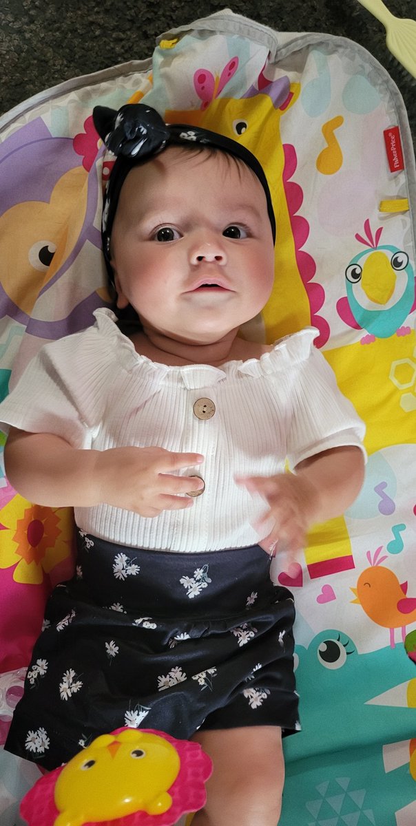 Stephanie Rubin tweet media